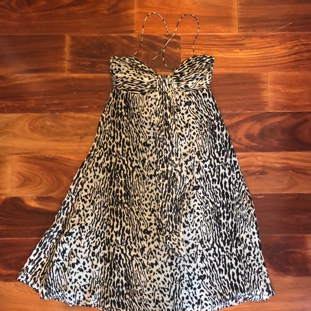 Banana Republic Zebra Dress